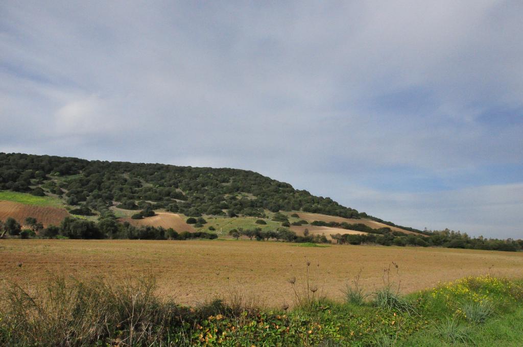 Agriturismo Sa Scalitta Carbonia Kültér fotó